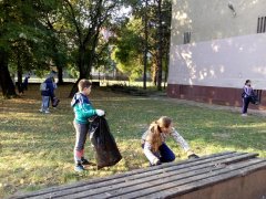 IMG_20181006_080522.jpg